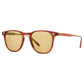 Brooks II sun Garrett Leight
