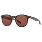 Morningside X sun Garrett Leight
