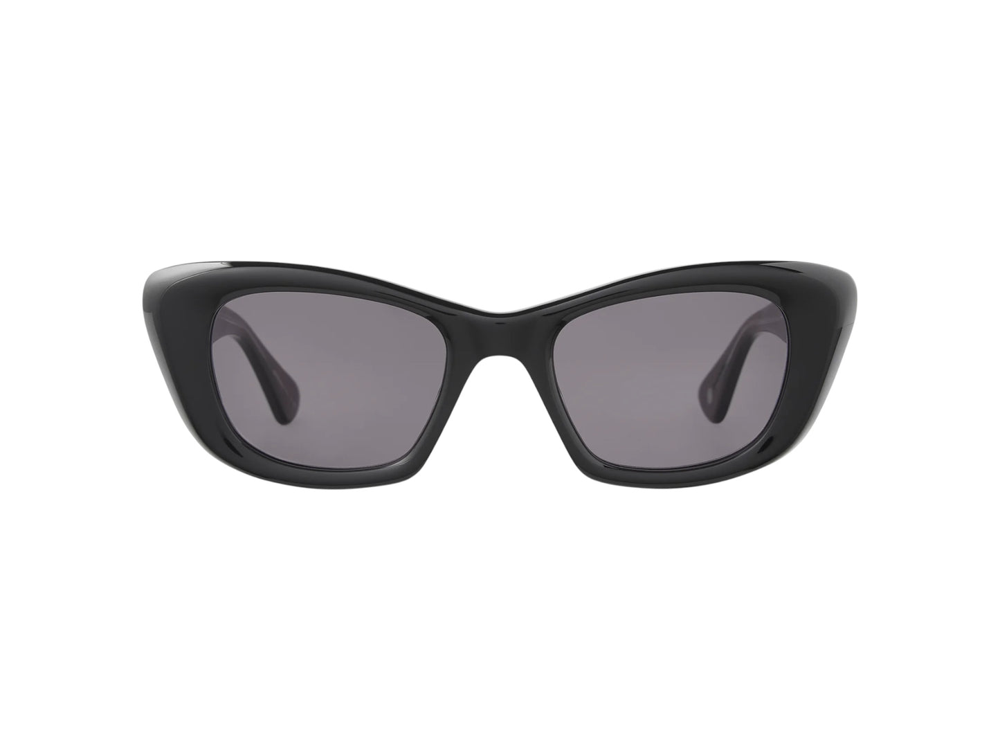 Sierra sun Garrett Leight