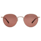 Wilson M sun Garrett Leight